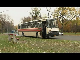 Crazy couple copulating in a bus